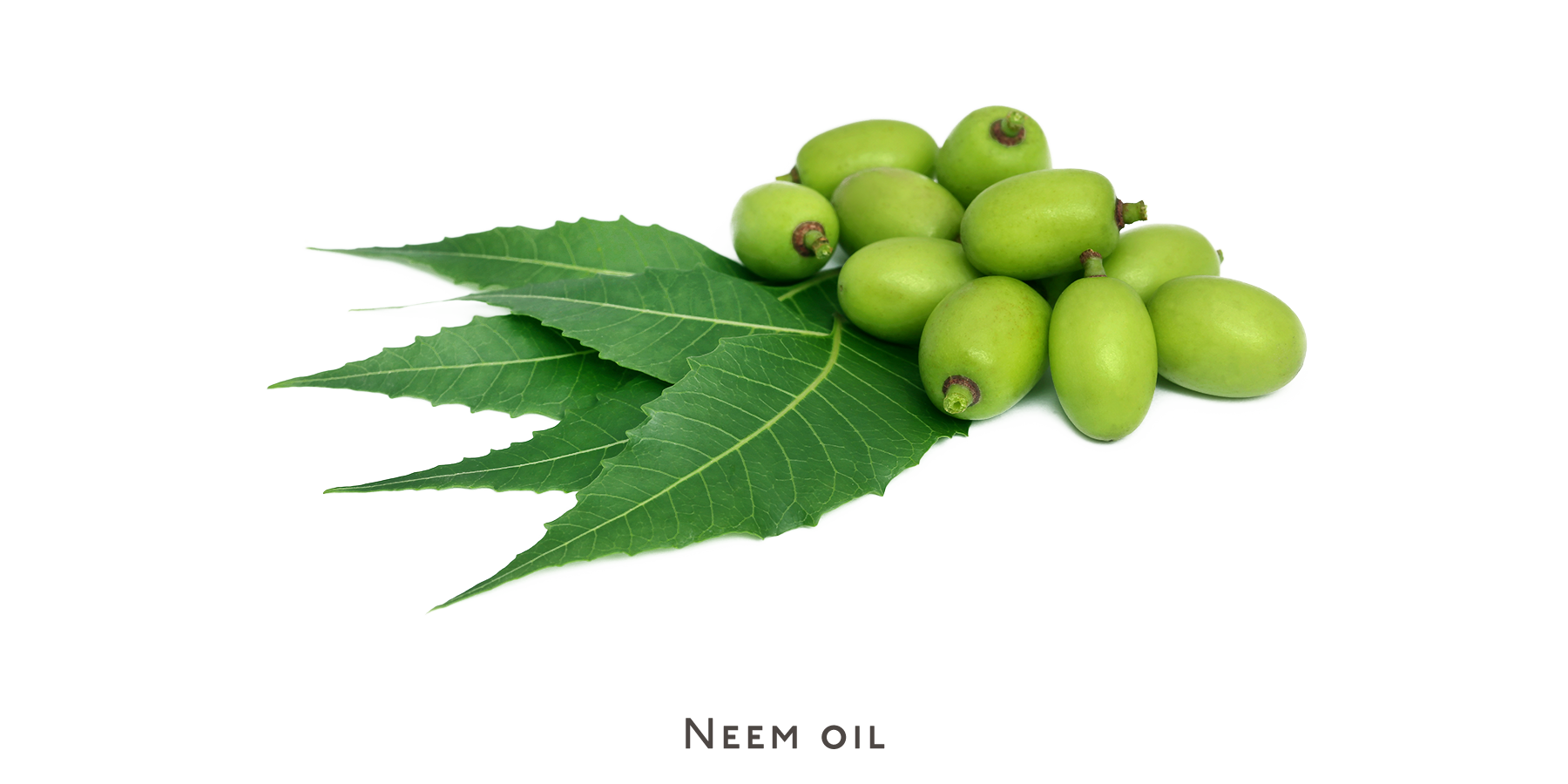 Face wash - acne prone or oily skin - Nuebar