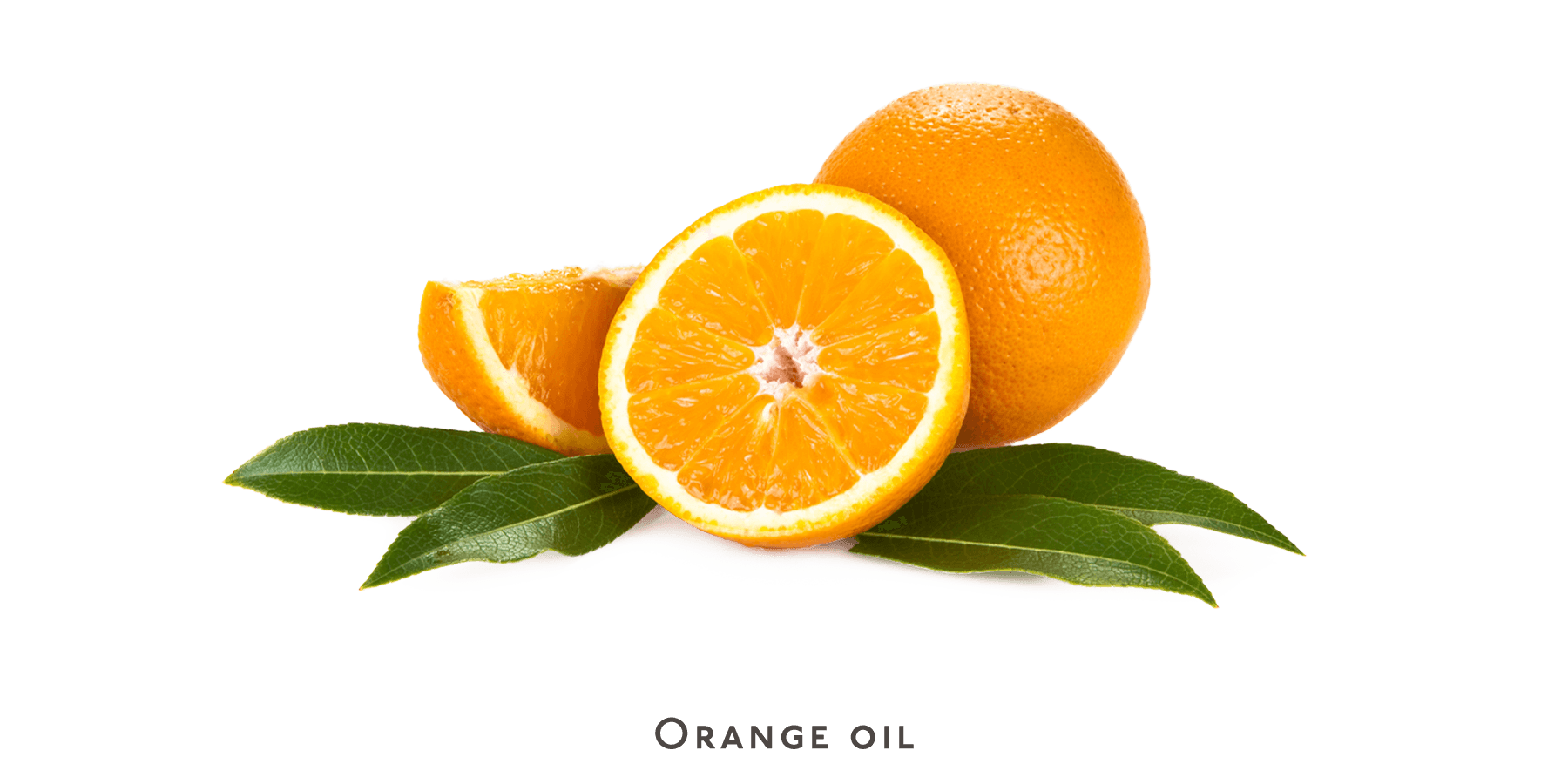 Shampoo - oily hair - Nuebar
